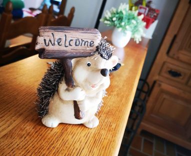 IMG_20240725_160229_11zon